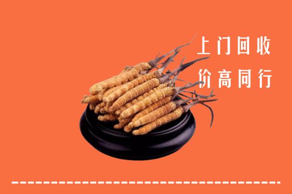 云浮回收冬虫夏草