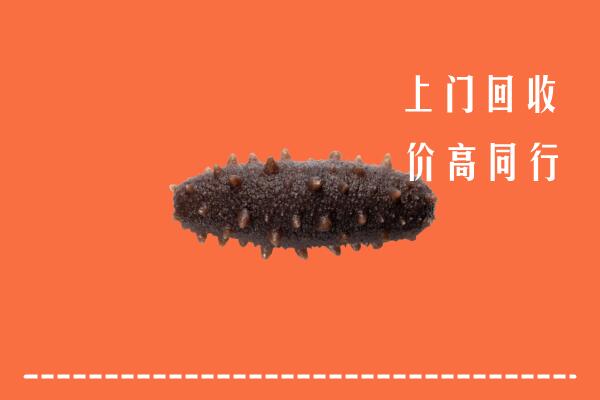云浮高价回收海参